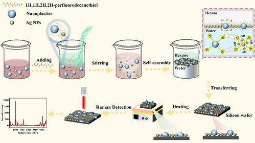 表面增強拉曼散射檢測新策略及其在自然科學研究和試驗發(fā)展中的應(yīng)用前景