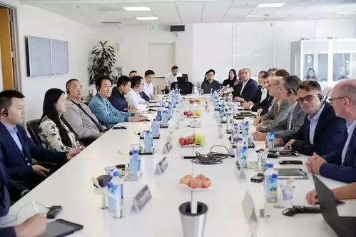 許家印與賈躍亭 自然科學研究與試驗發展的鏡鑒之路